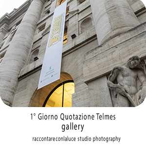 Quotazione Telmes